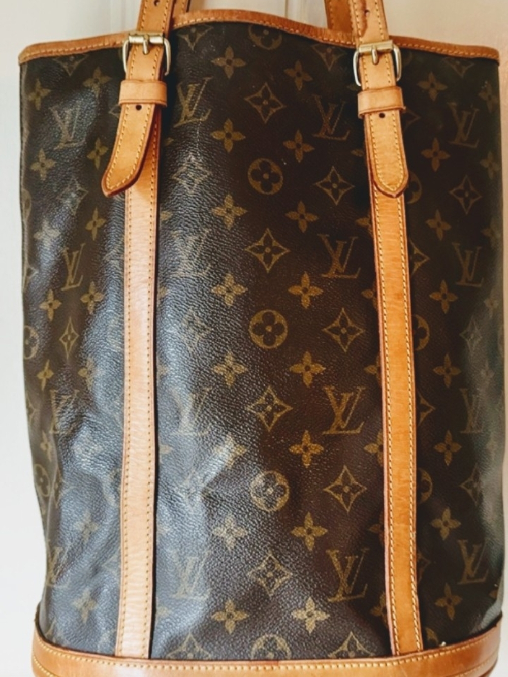 AUTHENTIC Louis Vuitton Bucket GM PROJECT BAG
